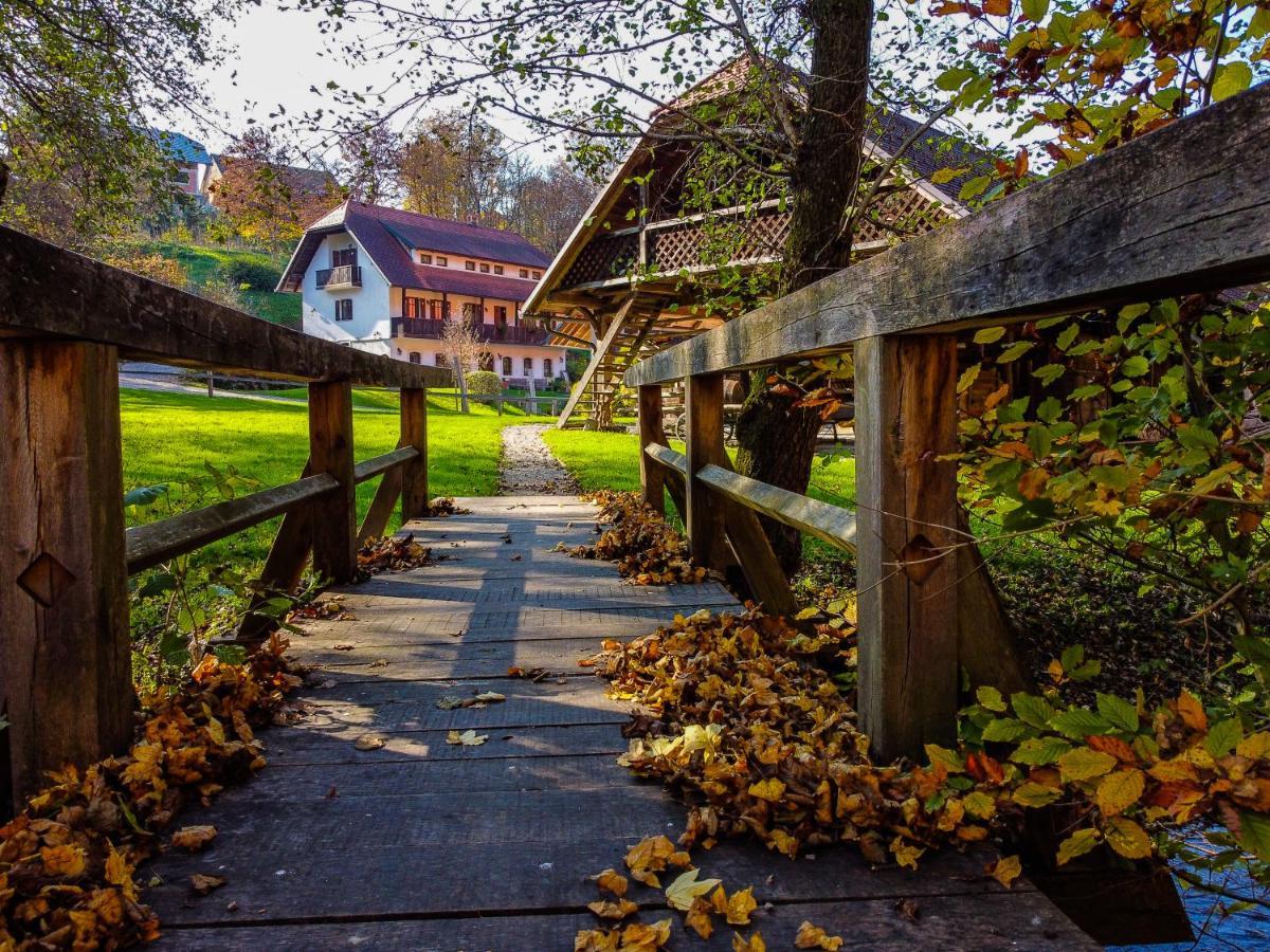 Domacija Seruga Countryside Hotel 노보메스토 외부 사진