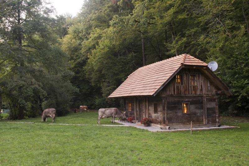 Domacija Seruga Countryside Hotel 노보메스토 외부 사진
