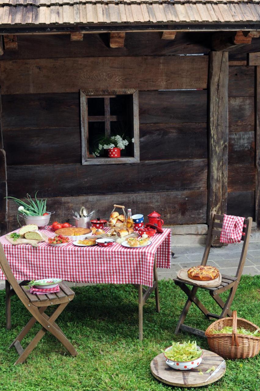 Domacija Seruga Countryside Hotel 노보메스토 외부 사진