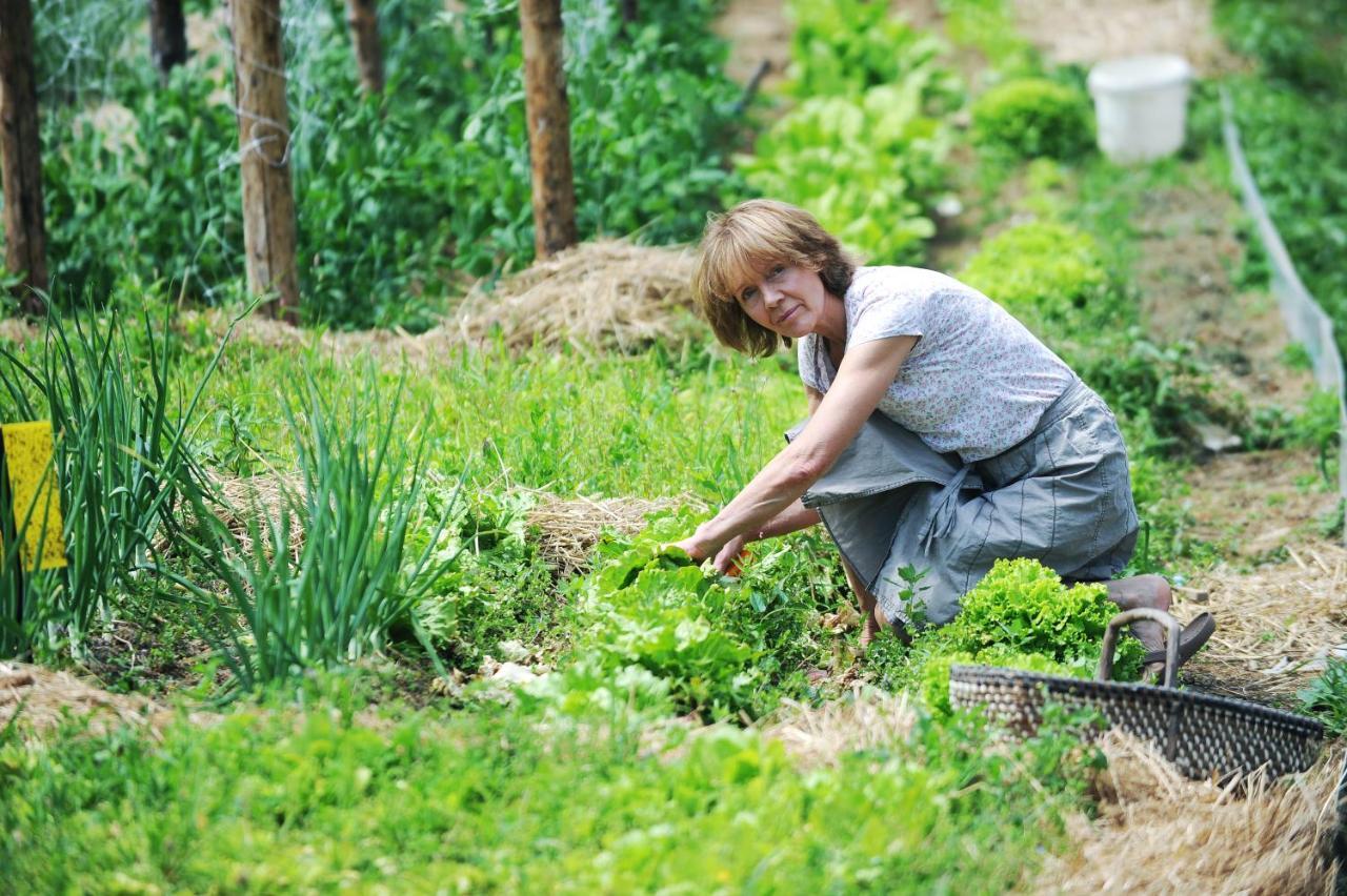 Domacija Seruga Countryside Hotel 노보메스토 외부 사진