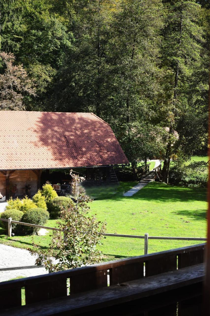 Domacija Seruga Countryside Hotel 노보메스토 외부 사진