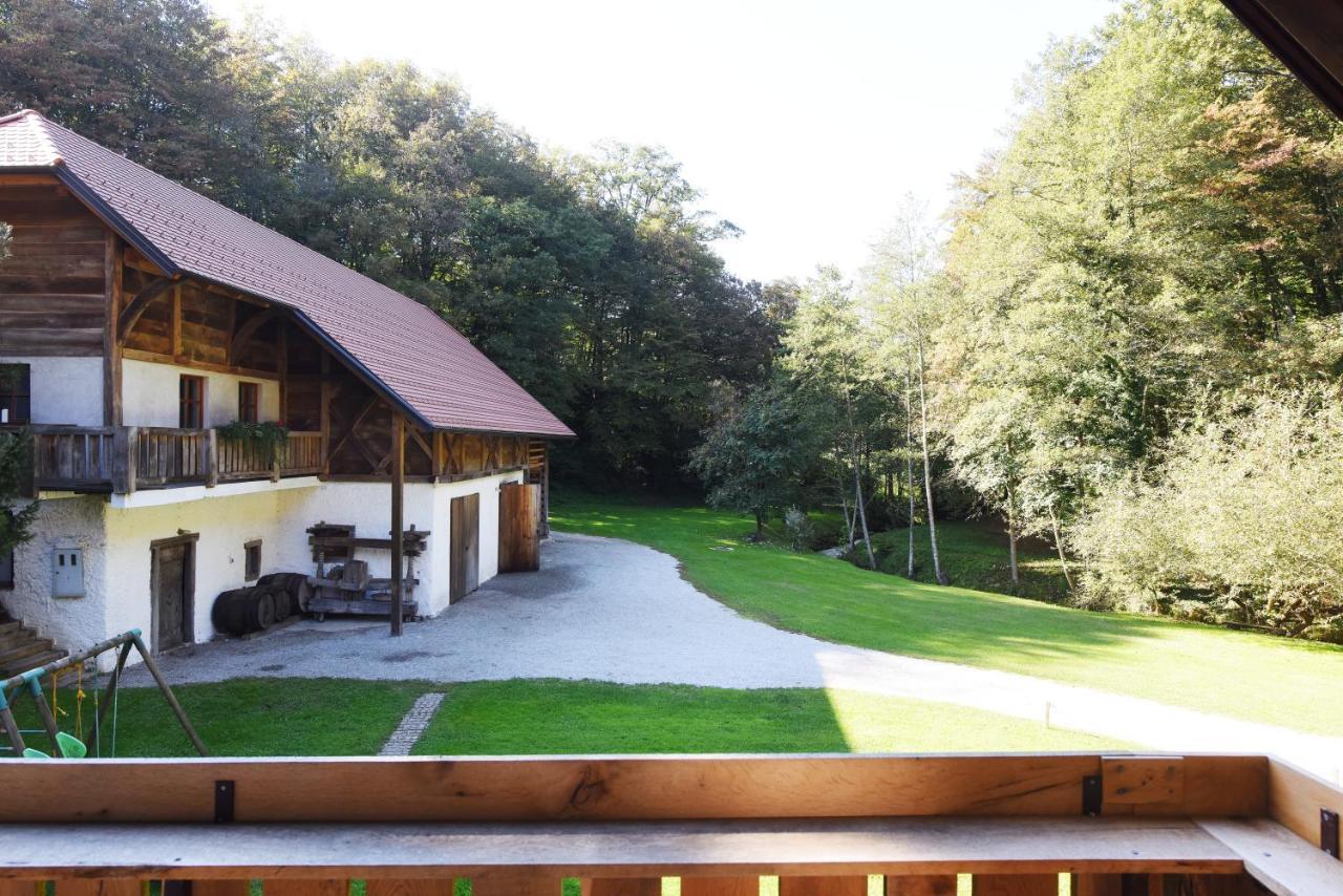 Domacija Seruga Countryside Hotel 노보메스토 외부 사진