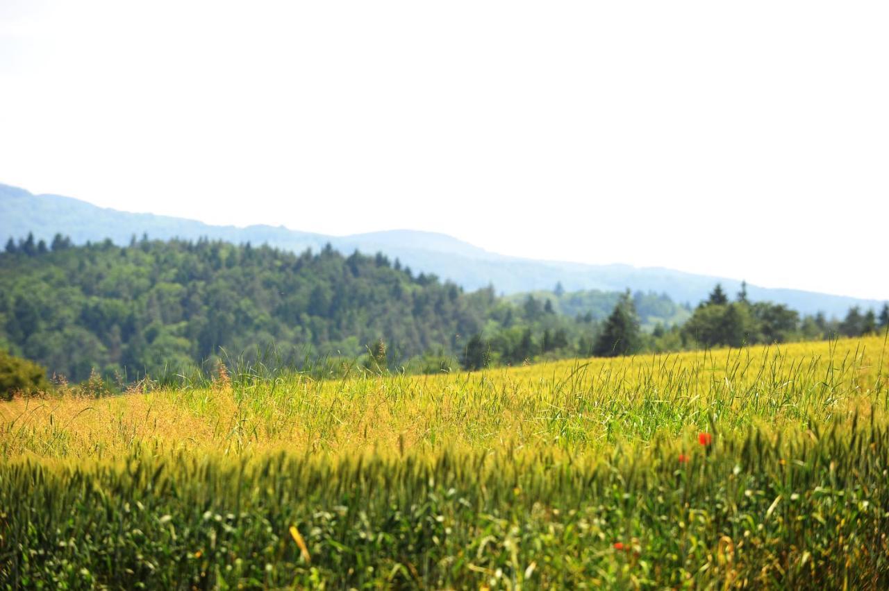 Domacija Seruga Countryside Hotel 노보메스토 외부 사진