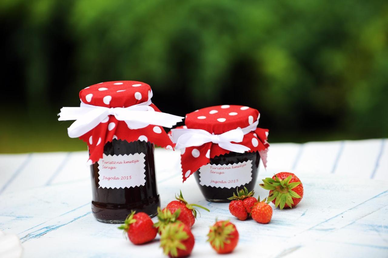 Domacija Seruga Countryside Hotel 노보메스토 외부 사진