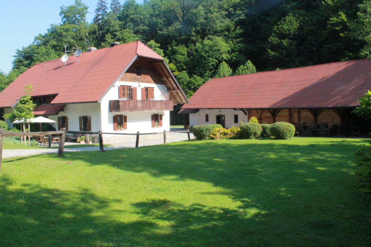 Domacija Seruga Countryside Hotel 노보메스토 외부 사진